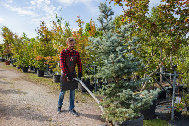 Best Leaf Removal  in Yacolt, WA