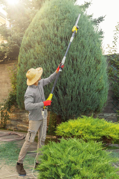 Best Utility Line Clearance  in Yacolt, WA